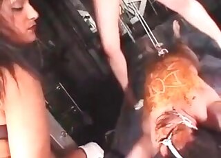 Chick with a perfect ass is shitting on top of a lad