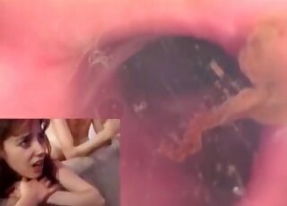 Three prostitutes bending over for the session